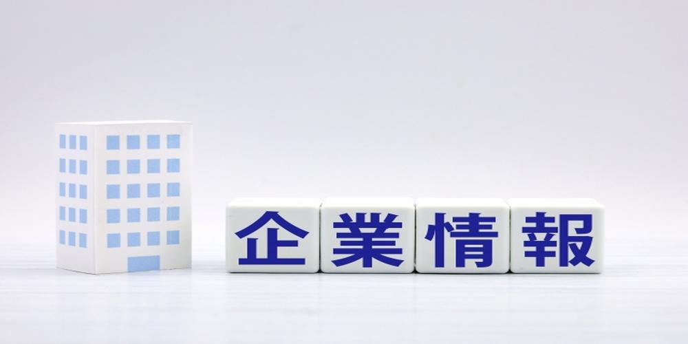 企業情報の文字が書かれたキューブと白いオフィスビルの模型が並ぶシンプルな背景